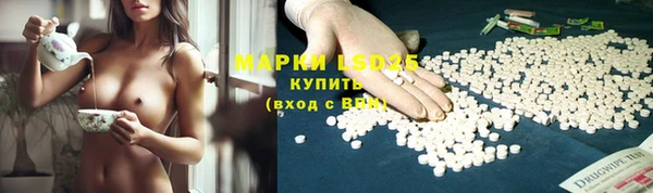 амф Надым