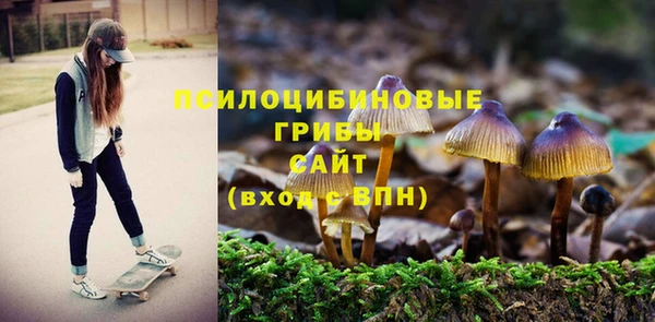 молекула духа Нея