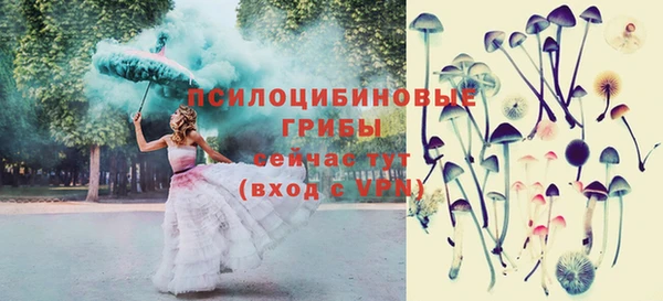 индика Нефтегорск
