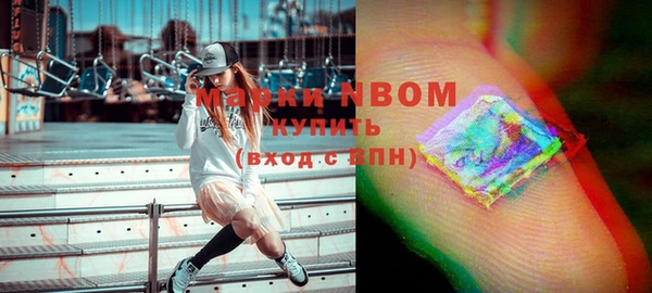 индика Нефтегорск
