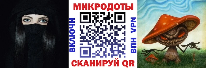 Псилоцибиновые грибы Cubensis Оленегорск